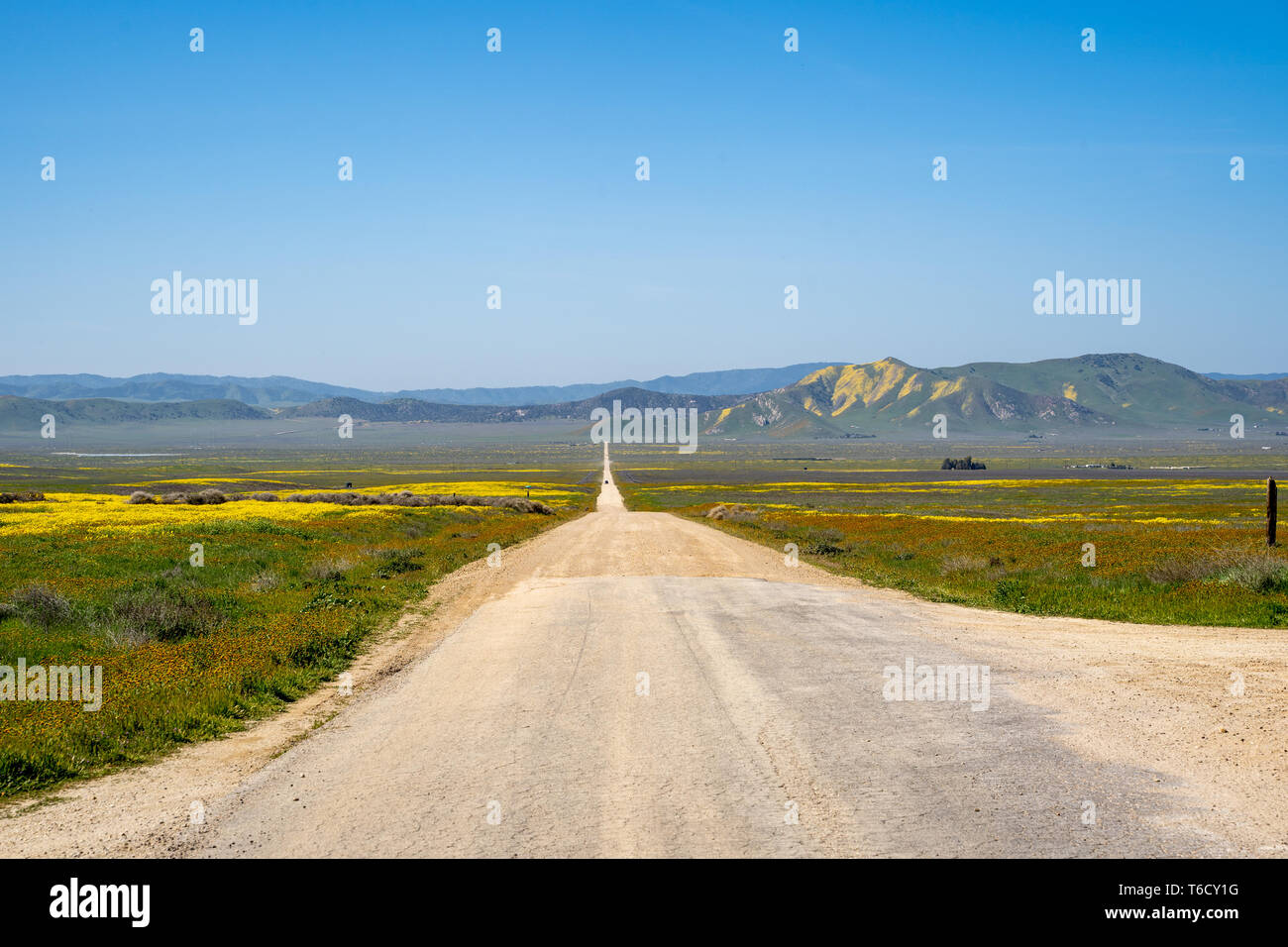 Seven Mile Road à Carrizo Plain National Monument, au cours de la Californie au printemps 2019 superbloom Banque D'Images