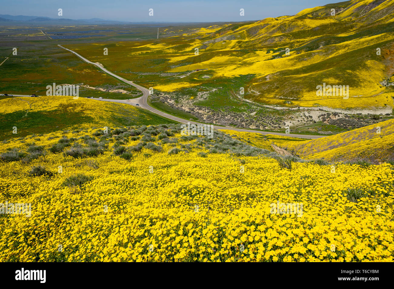 Carrizo Plain National Monument couvert de fleurs sauvages au cours d'un printemps Californie superbloom Banque D'Images