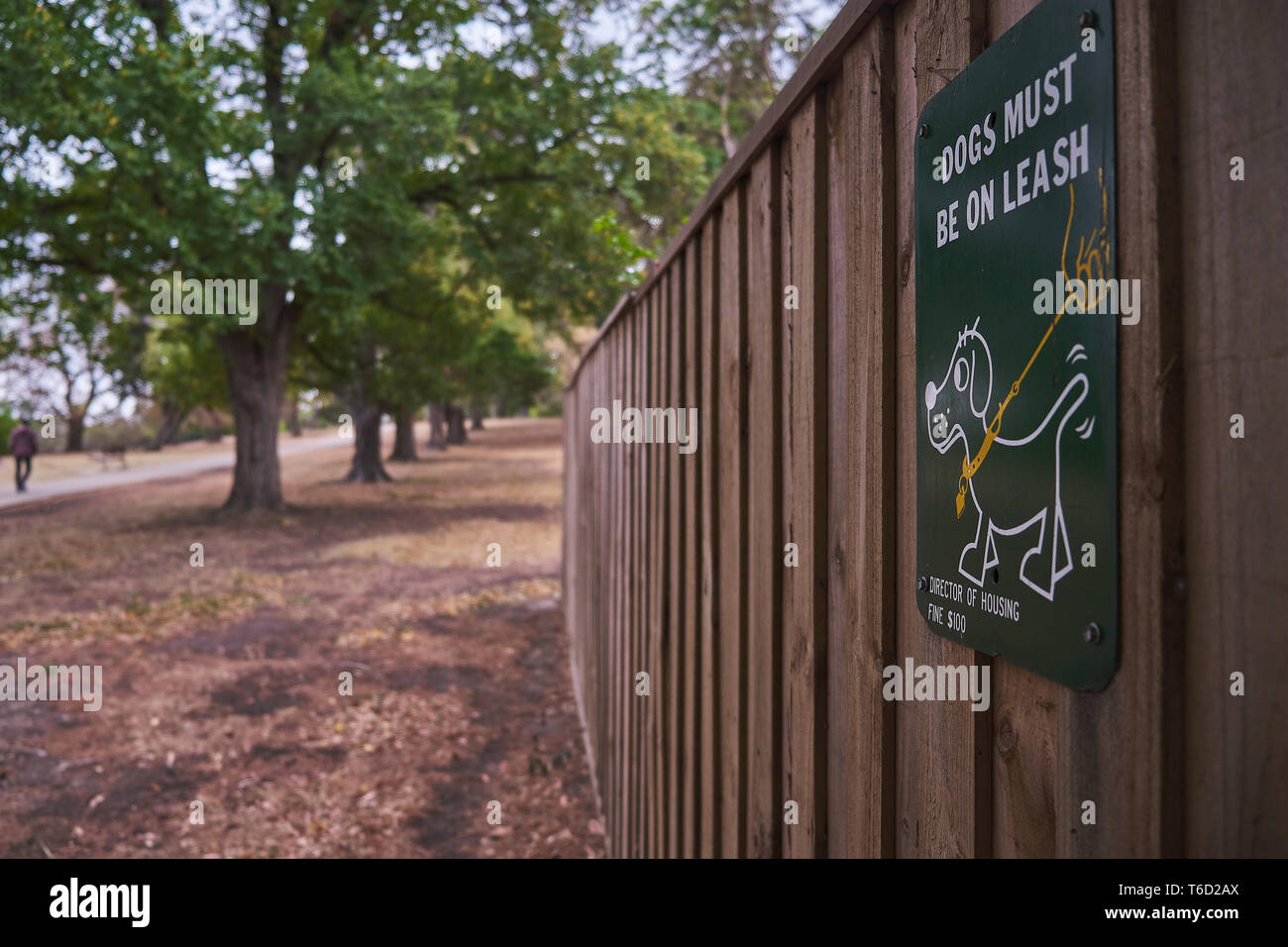 Panneau 'chiens doivent être tenus en laisse", vert, brun sur une clôture dans un parc avec des arbres d'un vert vif et un chemin à l'arrière-plan de Melbourne, Australie Banque D'Images