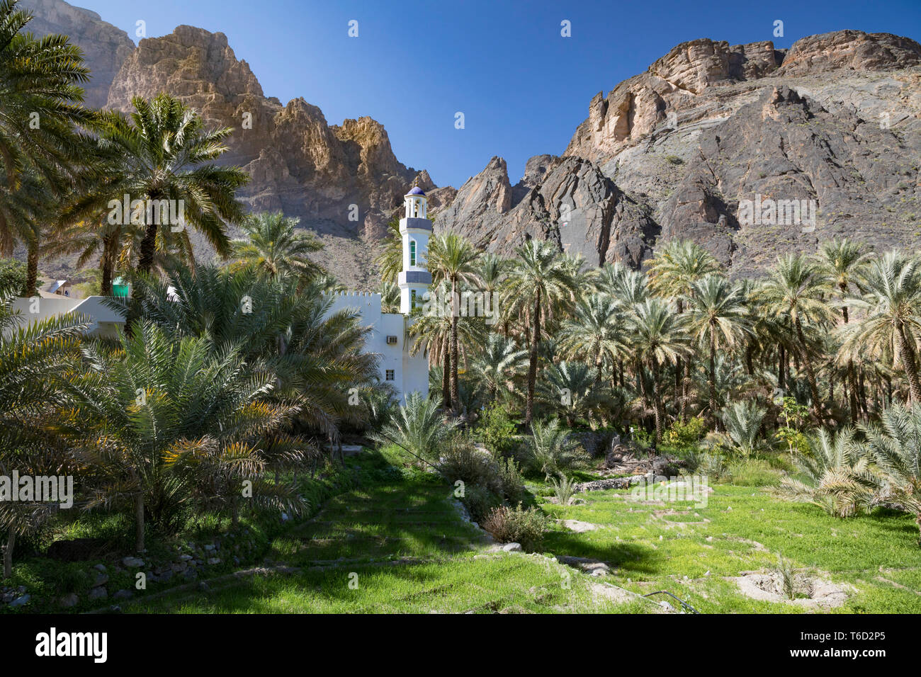 Oman, gouvernorat Dakhiliyah, Djebel Hajar, Balad Sayt. Une mosquée dans le village de Balat Sayt entouré de terrasses et de palmiers Banque D'Images