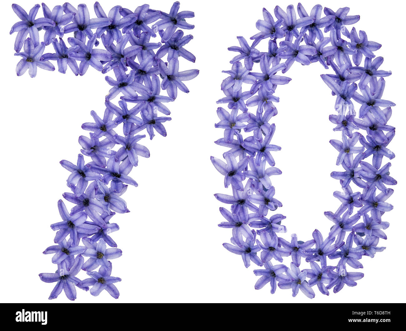 70, chiffre 70, à partir de fleurs naturelles, de jacinthe, isolé sur fond blanc Banque D'Images