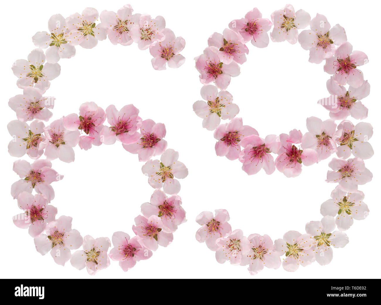 Chiffre 69, soixante-neuf, de naturel rose fleurs de pêcher, isolé sur fond blanc Banque D'Images