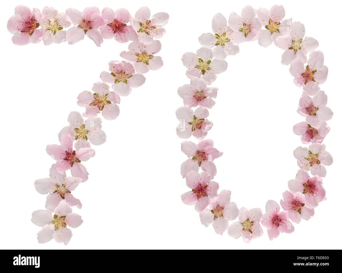 70, chiffre 70, de naturel rose fleurs de pêcher, isolé sur fond blanc Banque D'Images