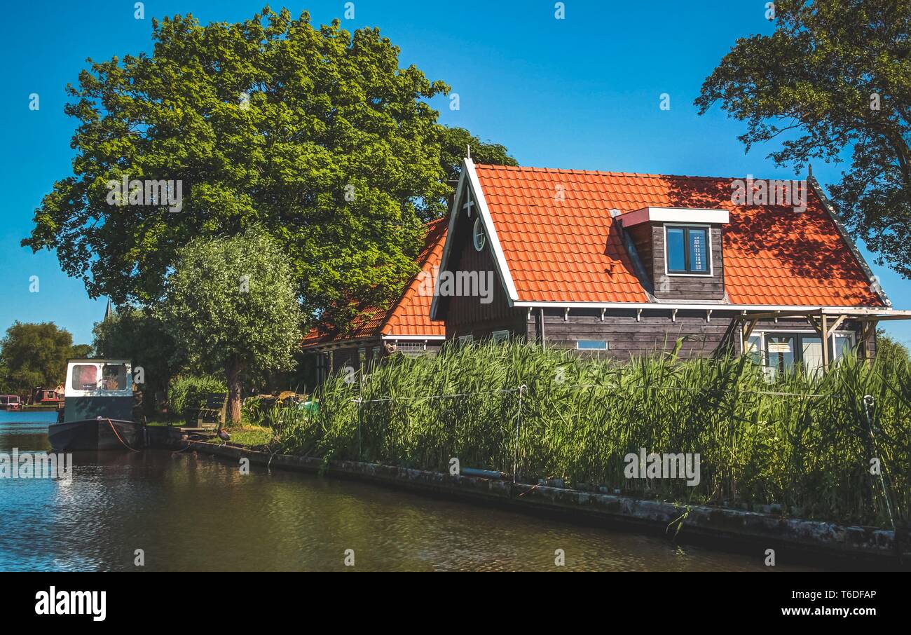 Paysage hollandais dans l'été Banque D'Images