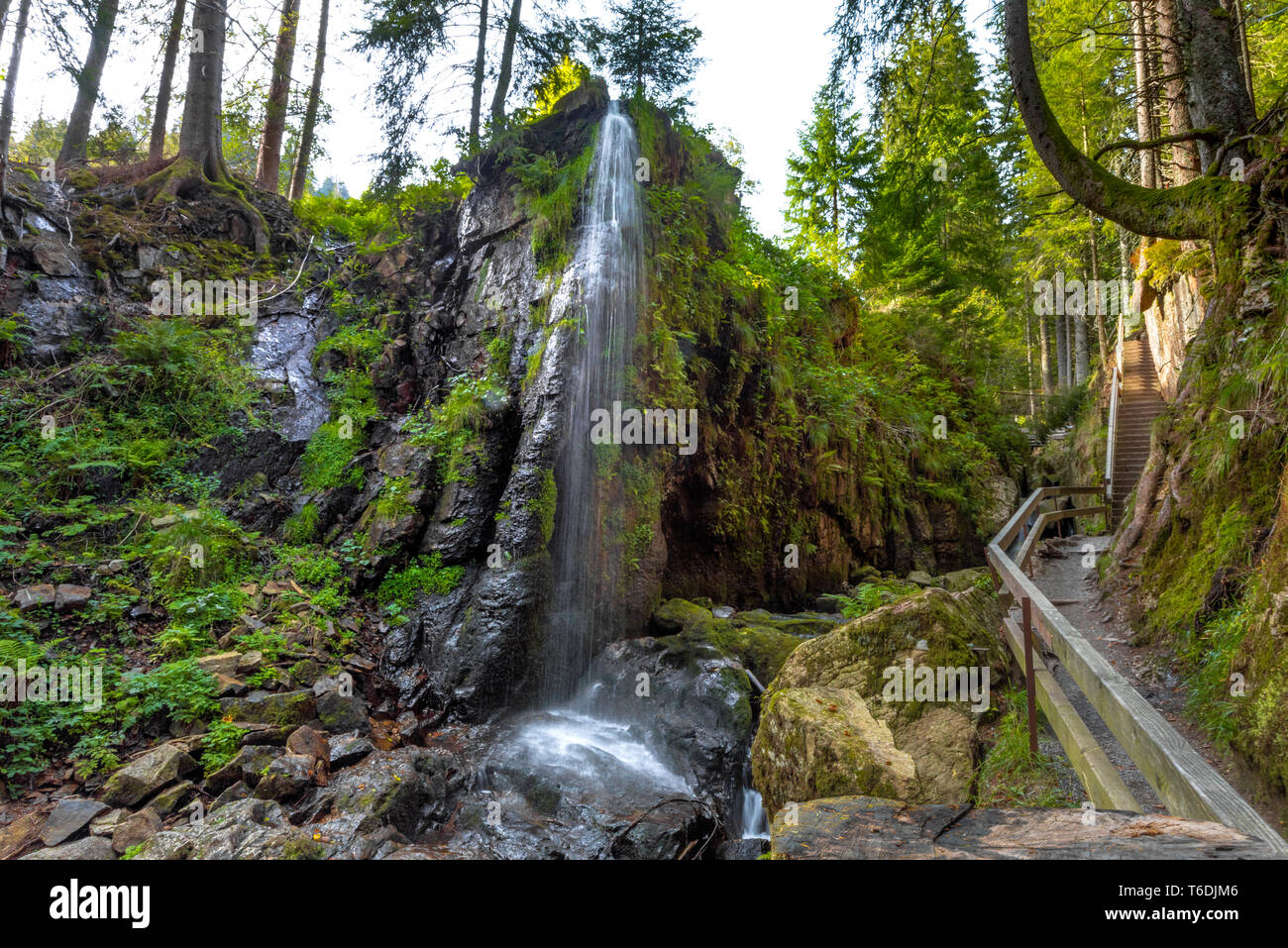 Les cascades de Menzenschwand, Haute Forêt Noire, Allemagne, cascade dans un ravin tombant sur rock edge Banque D'Images