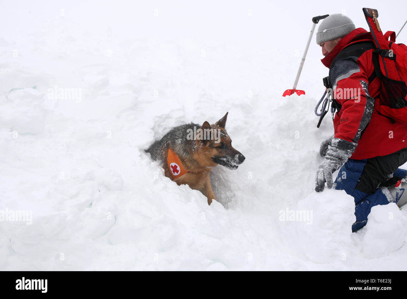 Sauveteur de la montagne au service de sauvetage Croix-Rouge bulgare Banque D'Images