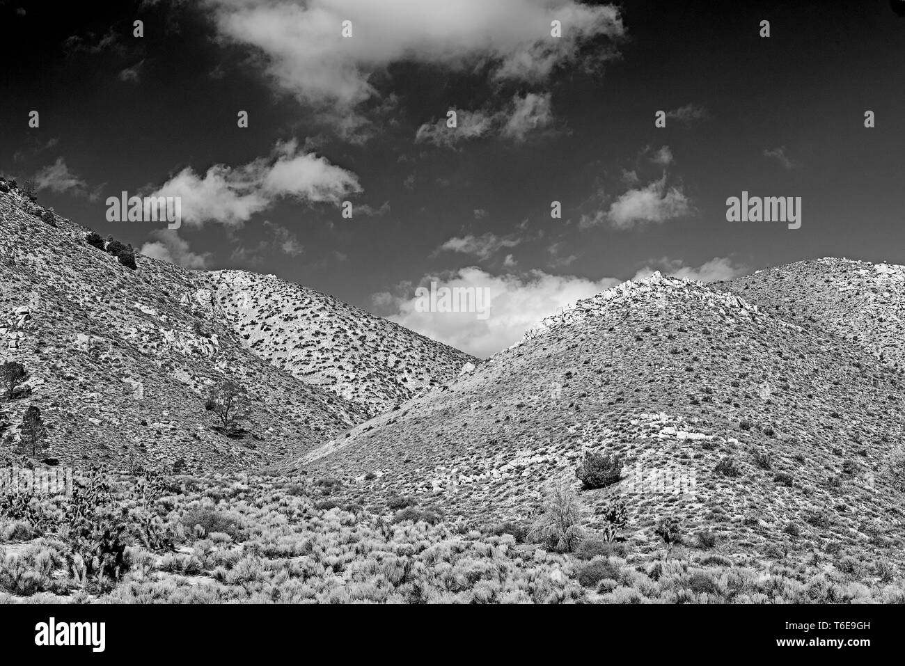 Le Desert Hills de buissons et de broussailles sous ciel noir avec des nuages blancs. Banque D'Images