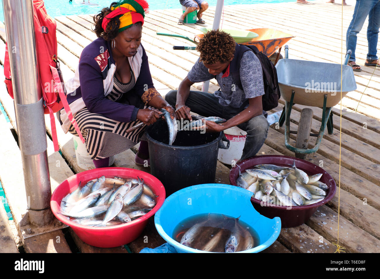 Les poissons fraîchement pêchés en préparation pour la vente sur la jetée de Santa Maria, île de Sal, Cap-Vert, Afrique Banque D'Images