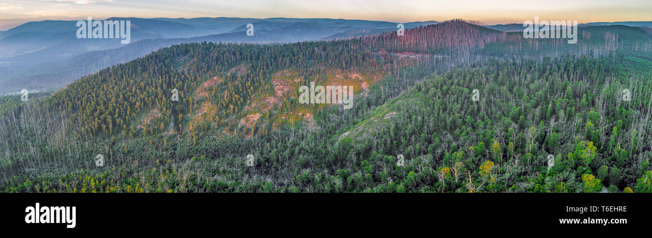 Panorama de l'antenne de Parc National de Yarra à Victoria, Australie Banque D'Images