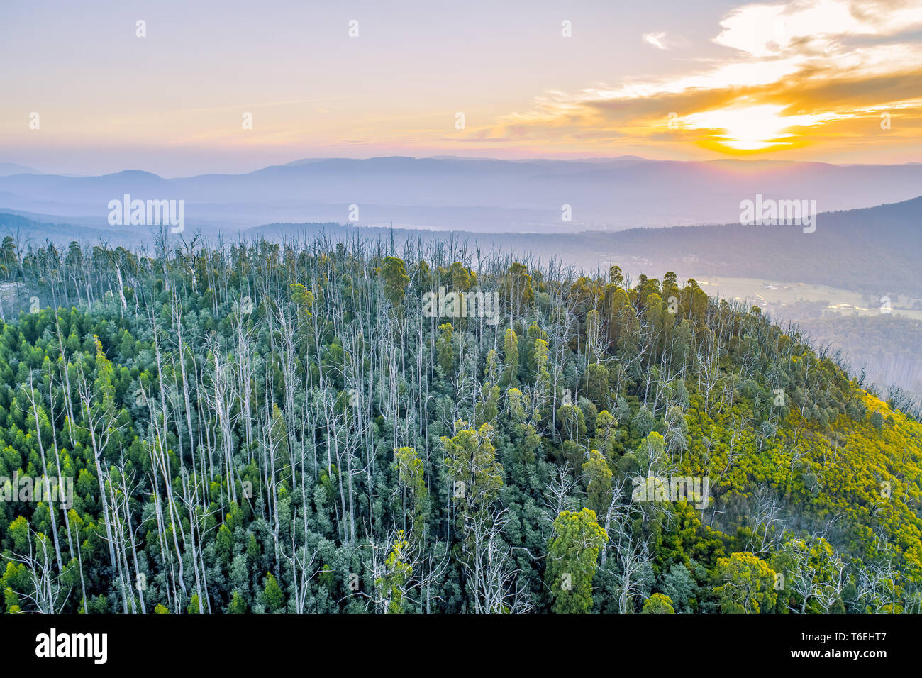 Parc national de Yarra au coucher du soleil à Victoria, Australie Banque D'Images