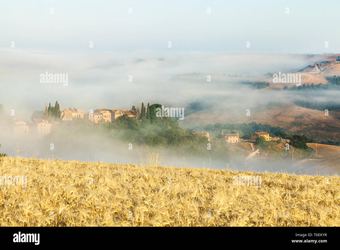 Brouillard matinal en Toscane, Italie Banque D'Images
