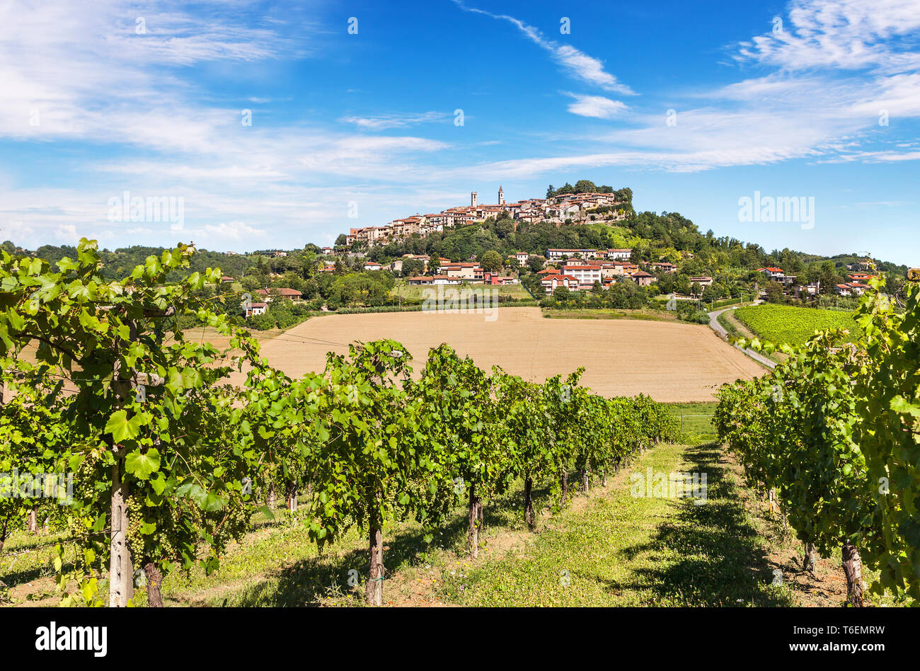 La région vallonnée des Langhe avec des vignes Banque D'Images