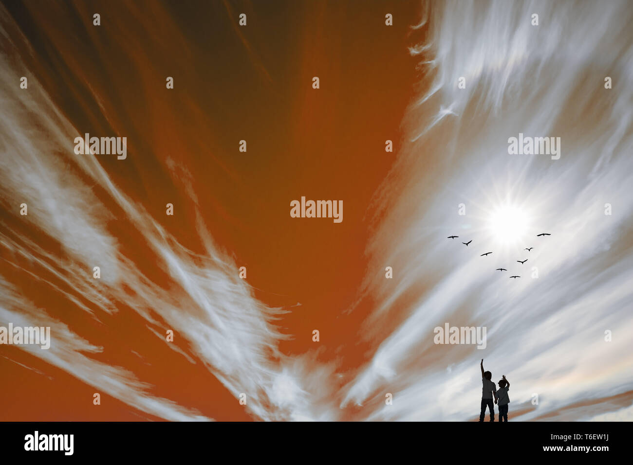 Deux garçons regarder le feu et les oiseaux Banque D'Images