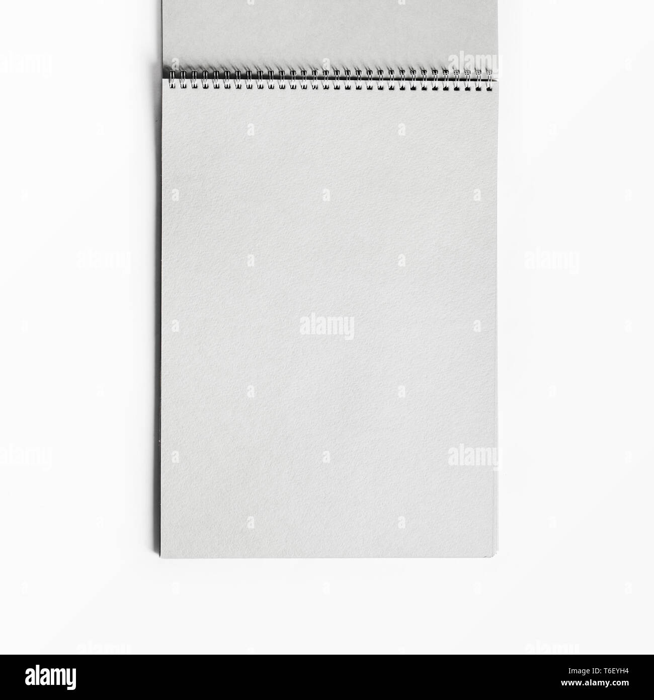 Carnet ouvert vide Banque D'Images
