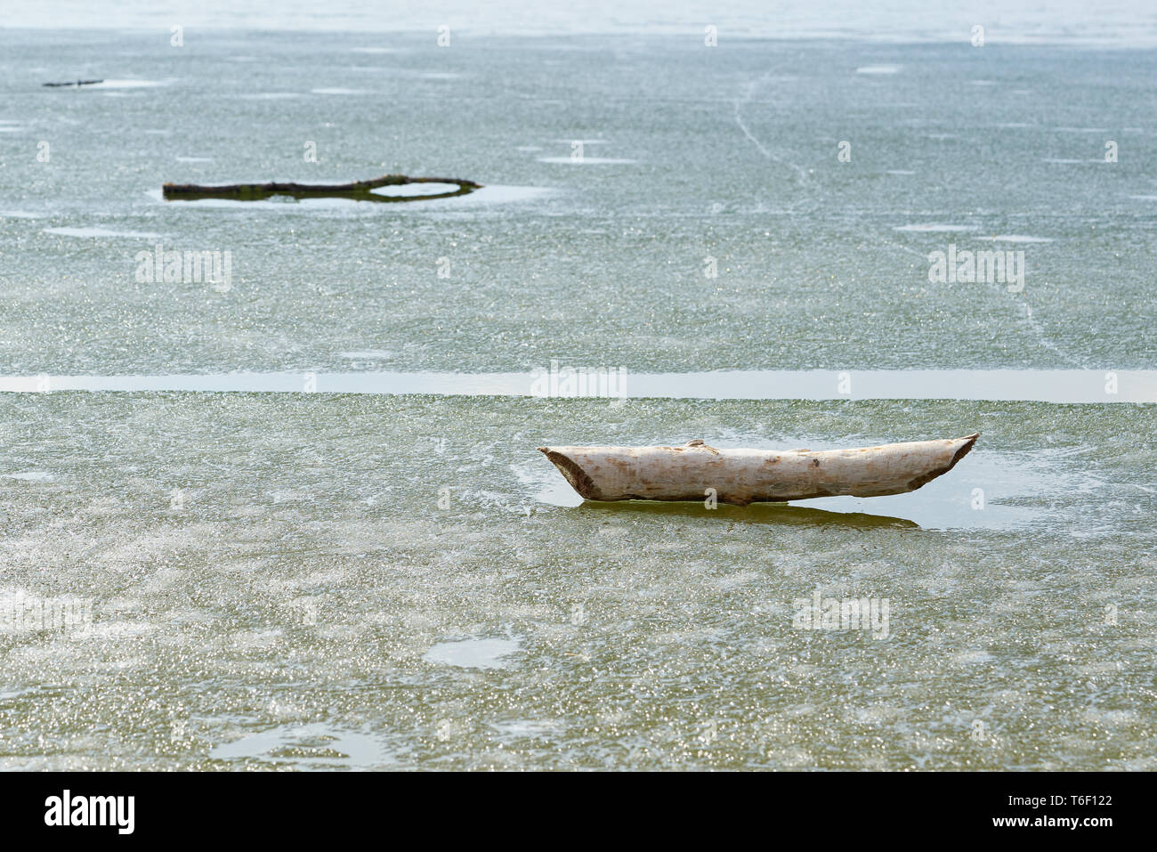 Branches d'un arbre sur un lac gelé en hiver Banque D'Images