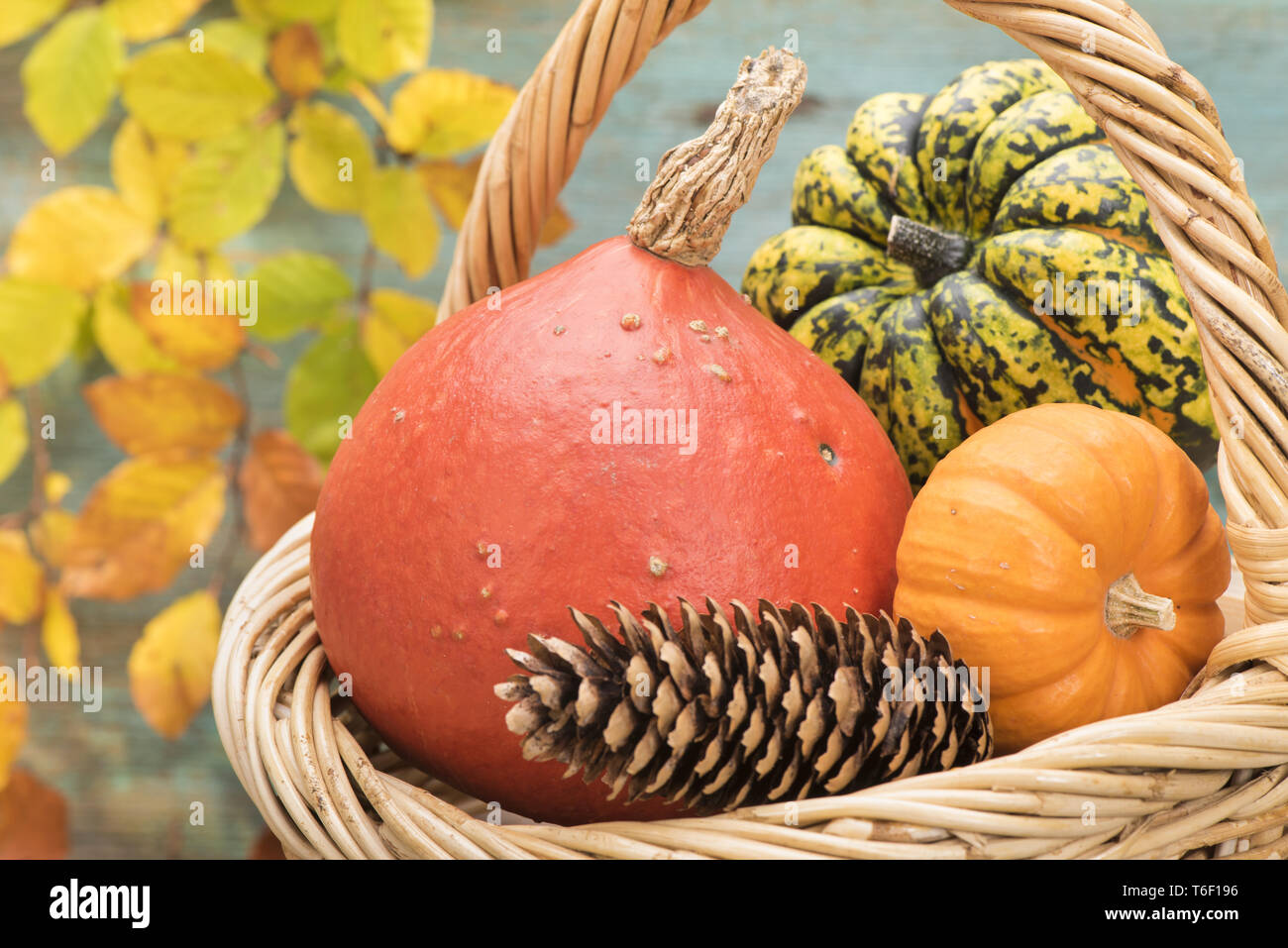 Décoration d'automne avec citrouille et feuilles Banque D'Images