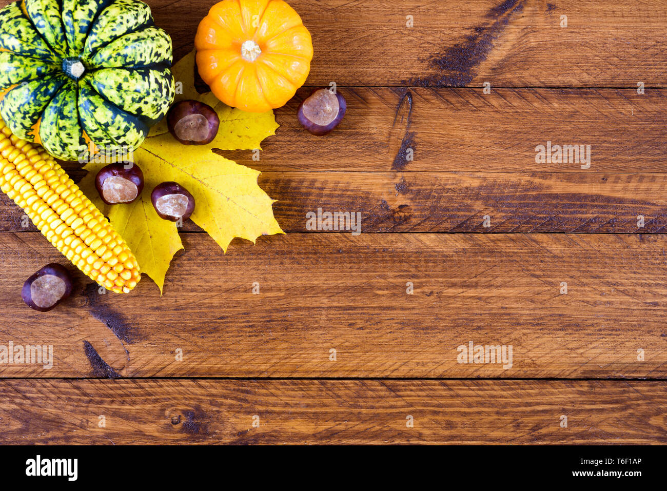 Décoration d'automne avec citrouille et feuilles Banque D'Images
