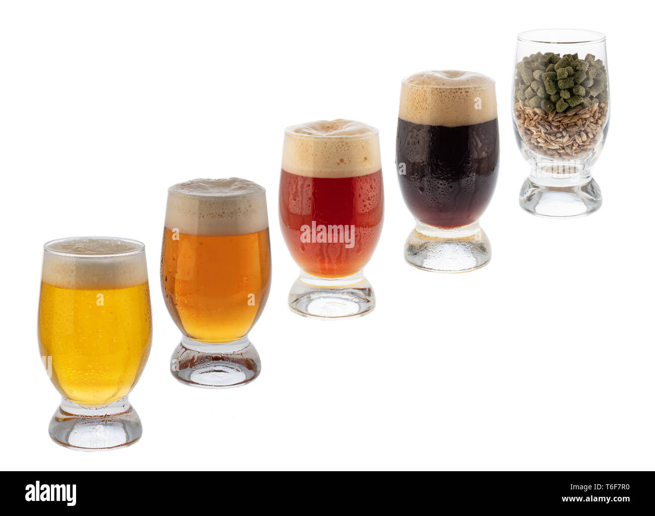 Verres de bière, de malt et de houblon Banque D'Images