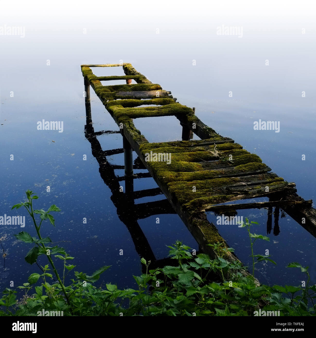 Jetée en bois Banque D'Images