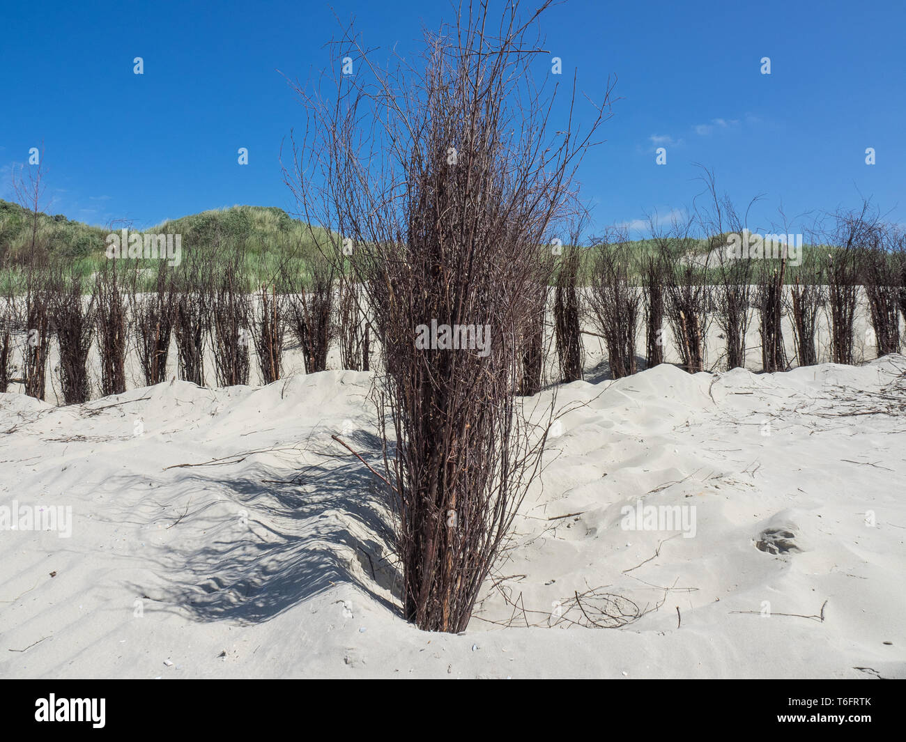 Dune plage Banque D'Images