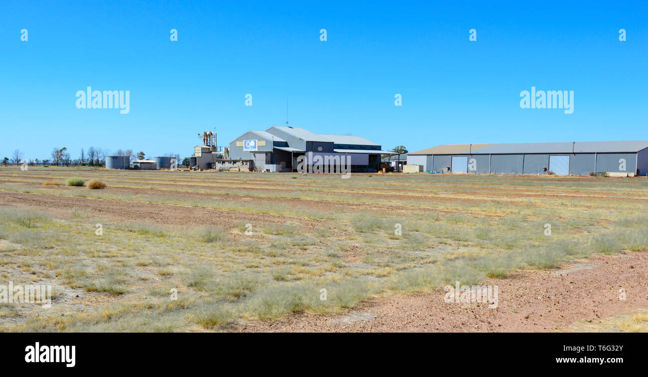 Queensland Cotton ferme près de Dalby, au sud-ouest du Queensland, Queensland, Australie Banque D'Images