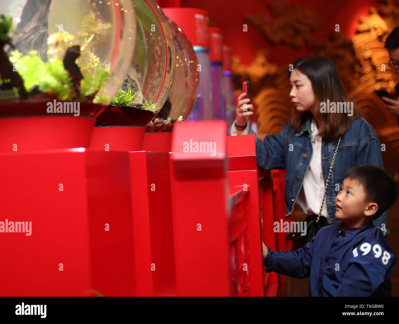 (190501) -- SHANGHAI, le 1 mai, 2019 (Xinhua) -- Les touristes visiter l'aquarium Ocean Shanghai dans l'est de la Chine, Shanghai, le 1 mai 2019. Le tourisme stimule autant de gens sortent pour des activités de loisirs durant les quatre jours de la Fête du travail fête nationale. (Xinhua/Liu Ying) Banque D'Images
