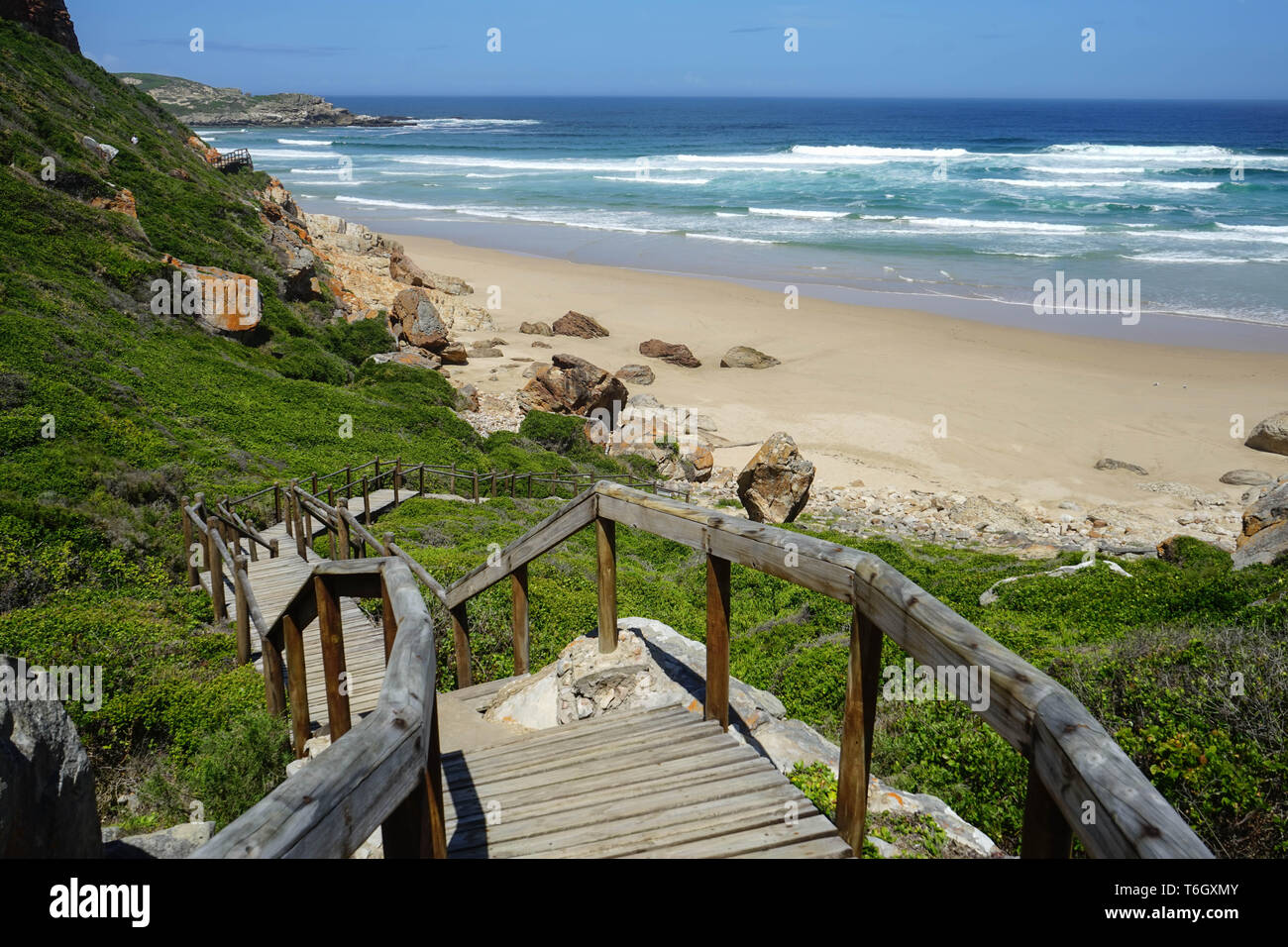 Chemin de la plage de Robberg sur randonnée pédestre, Afrique du Sud, Route des Jardins Banque D'Images