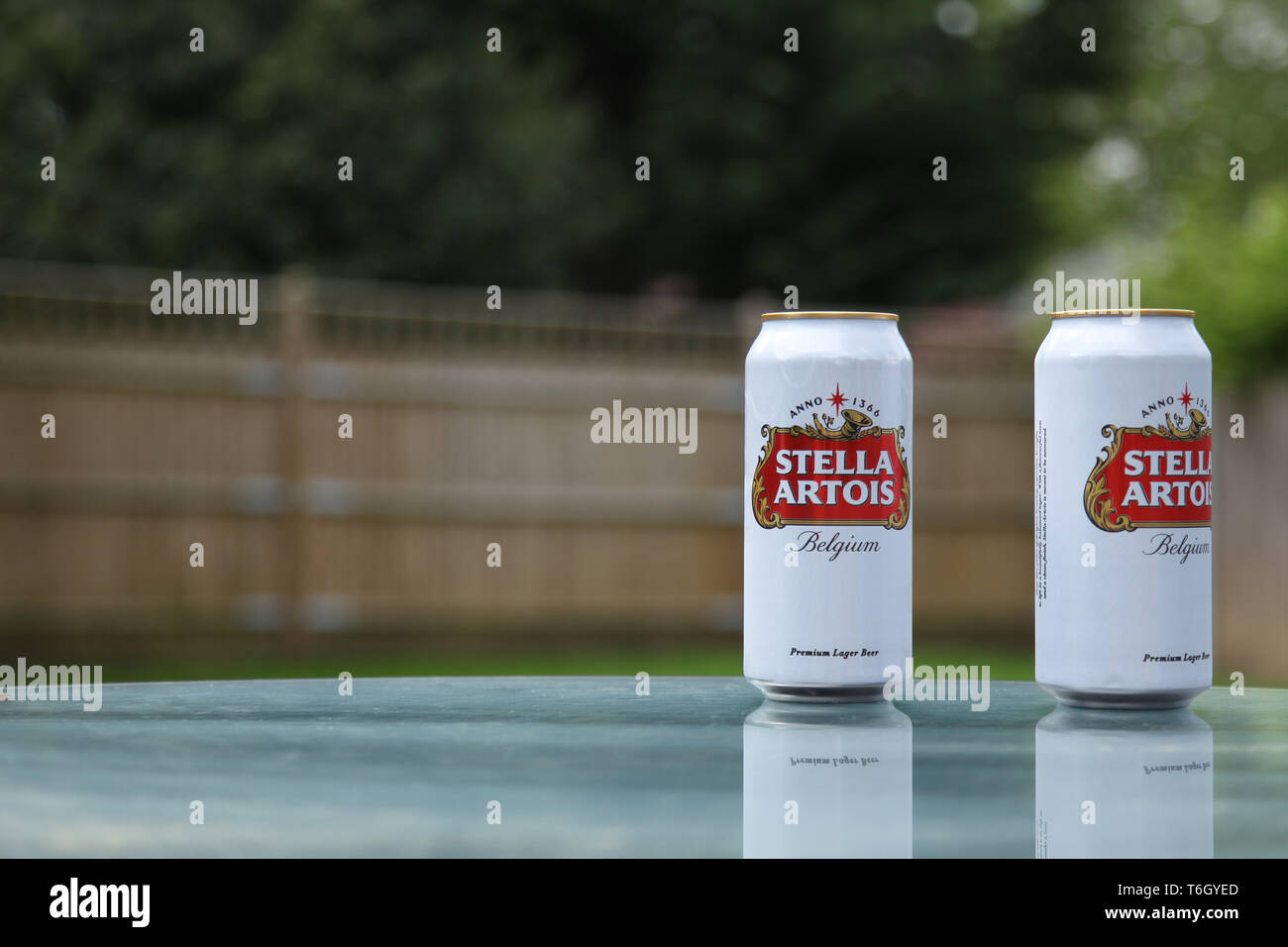 Boîtes de Stella Artois lager, à l'extérieur sur table dans le jardin anglais au printemps avec espace copie Banque D'Images