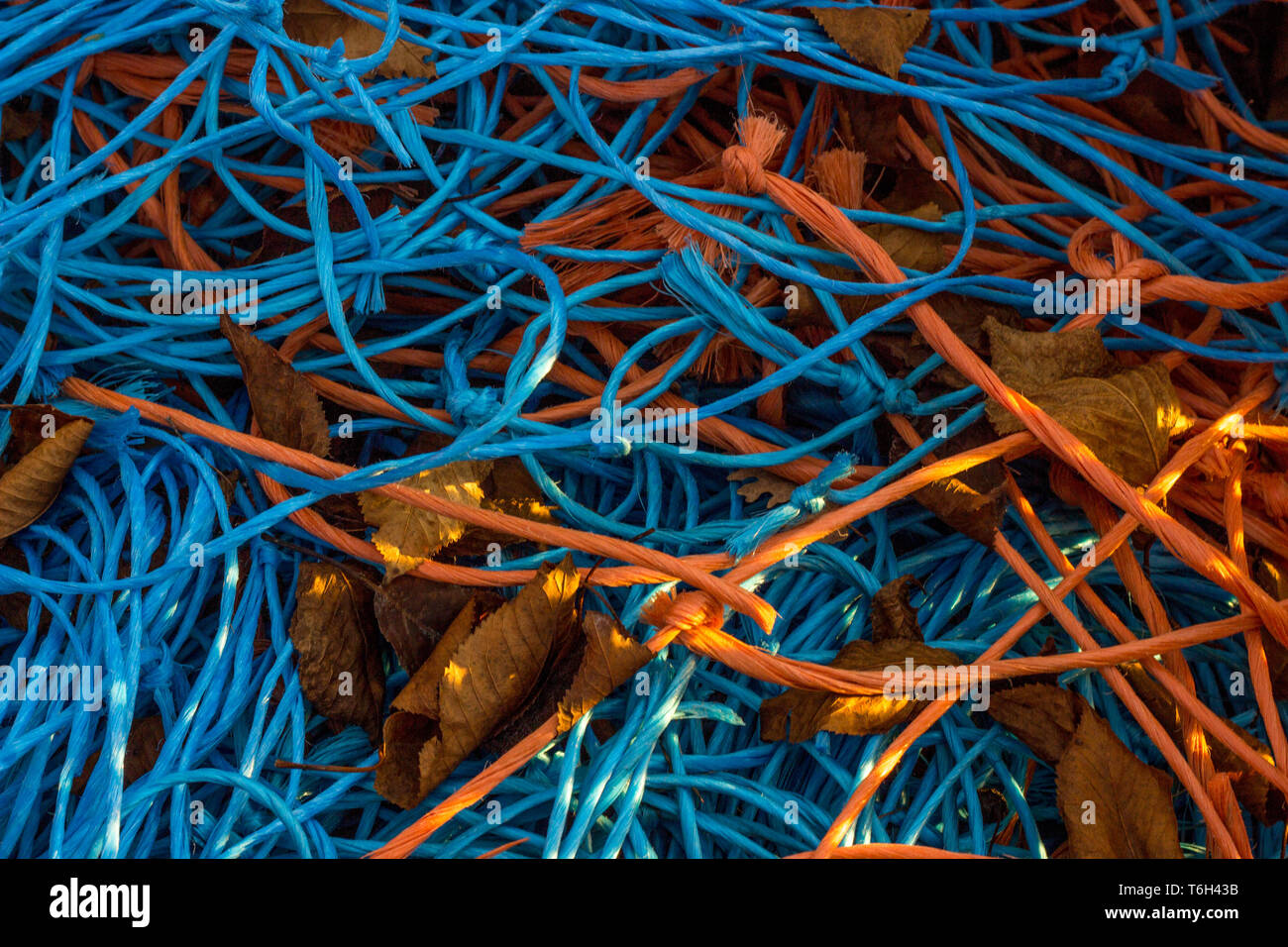 Corde de velours colorés Banque D'Images