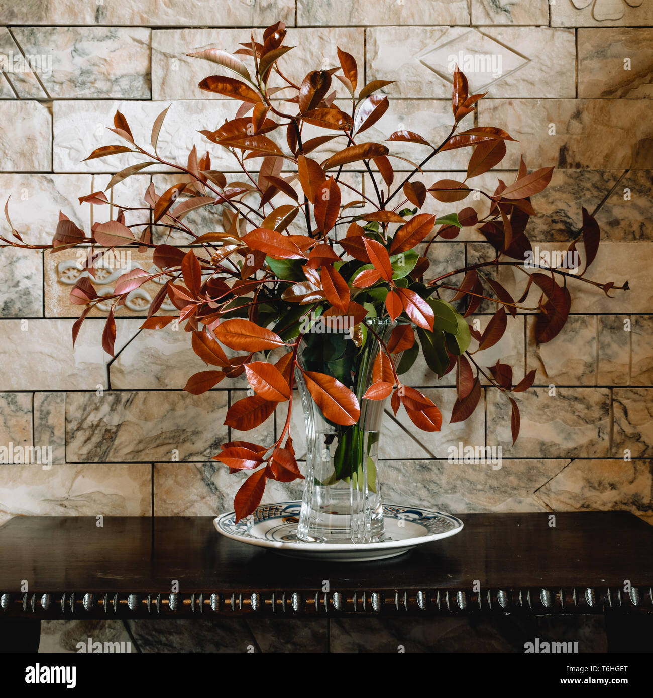 (Photinia Red Robin) branches avec des feuilles vertes et rouges dans un vase, still life, couleurs de terre Banque D'Images