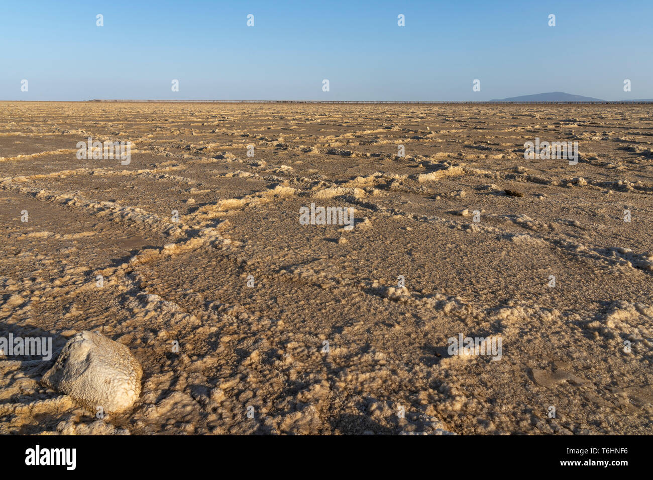 Les plaines de sel de lac Asale dans la dépression Danakil en Ethiopie, Afrique Banque D'Images