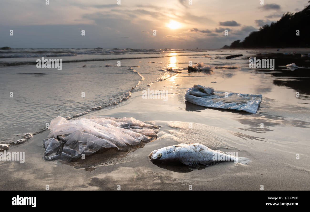 La mort de poissons et de déchets plastiques sur la plage de la pollution de l'environnement sea scape avec éclairage. Banque D'Images