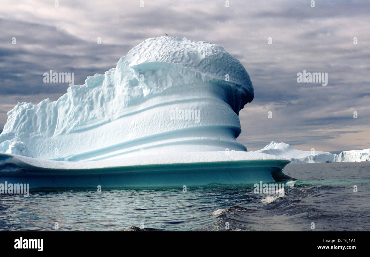 Icebergs au large du Groenland Banque D'Images