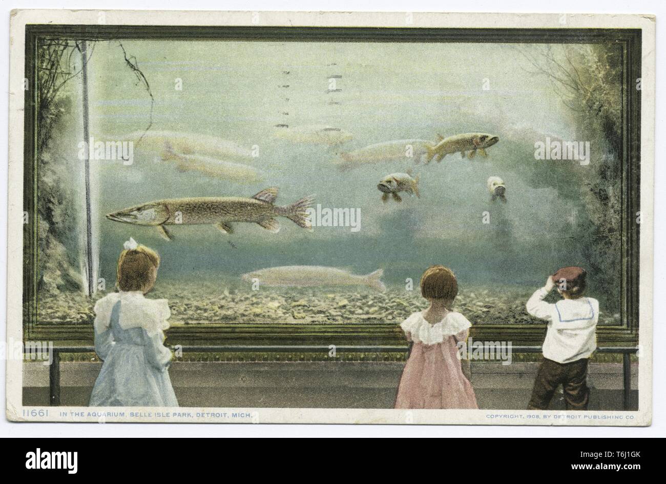Detroit Publishing Company vintage postcard d'enfants à la recherche d'un réservoir dans un aquarium à Belle Isle Park, Détroit, Michigan, 1914. À partir de la Bibliothèque publique de New York. () Banque D'Images