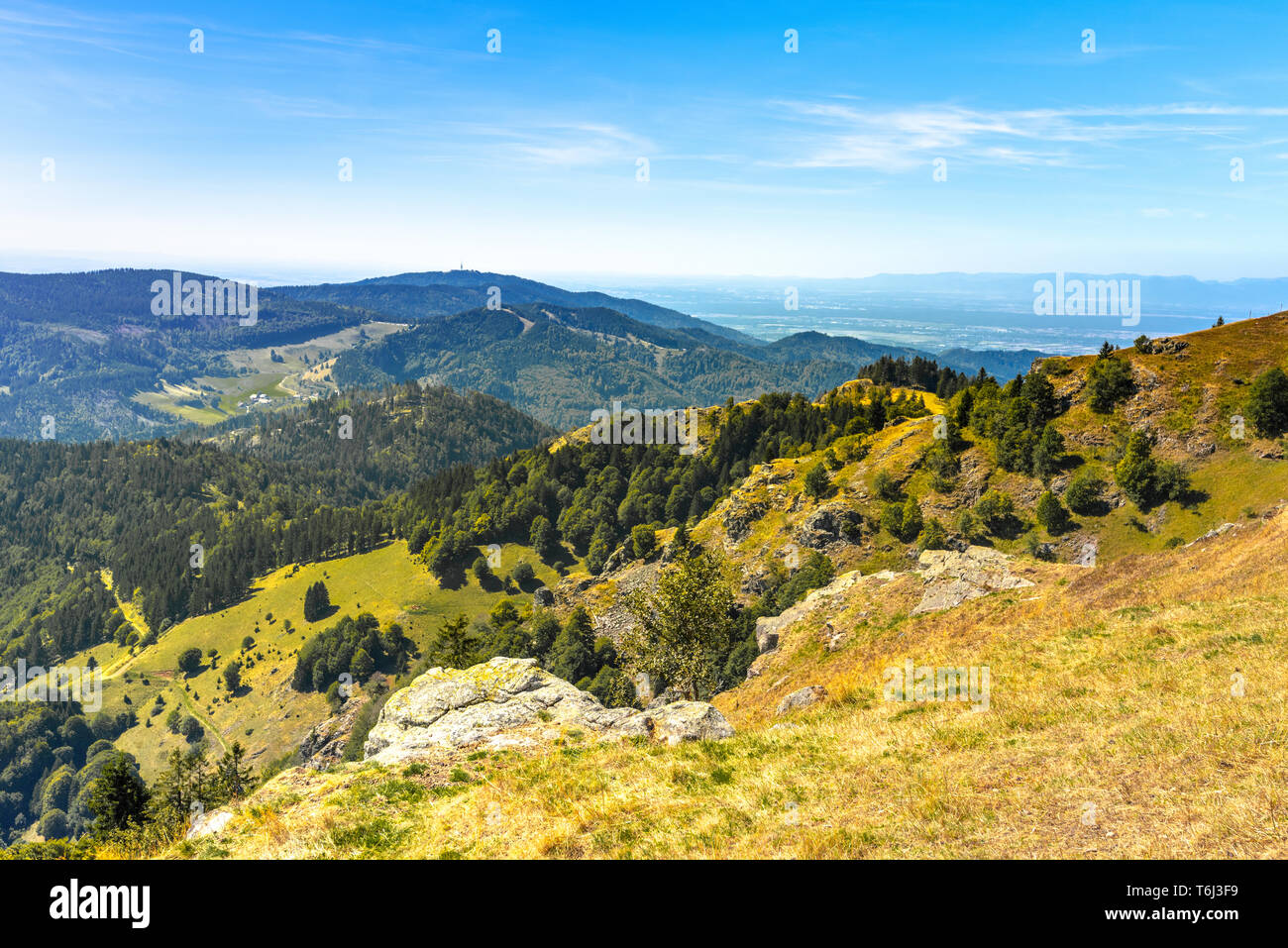 Les crêtes de montagne vu de la montagne Belchen, Haute Forêt Noire, en Allemagne, en vue de la vallée du haut Rhin Banque D'Images