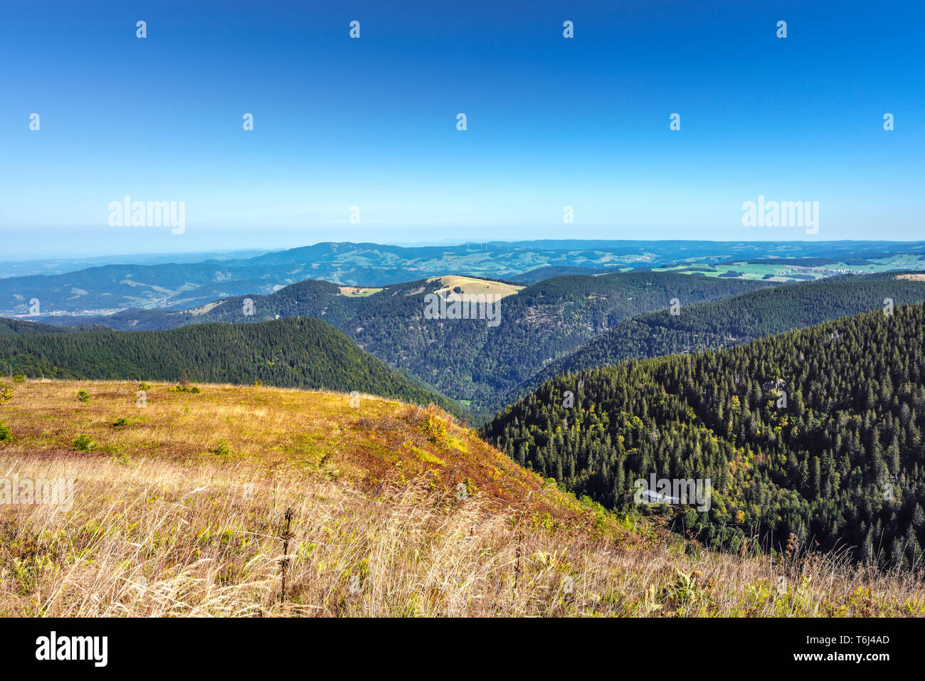 La crête de la montagne de Feldberg et les montagnes environnantes, sud de la Forêt Noire, Allemagne, avec vue sur le refuge de randonnée Zistler-Hütte Banque D'Images