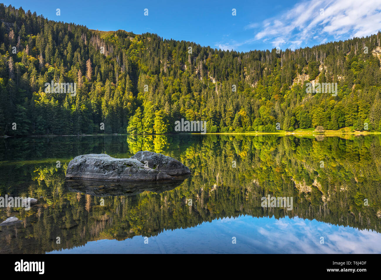 Feldbergsee le lac avec des falaises rocheuses de l'ancien cirque glaciaire au pied de la montagne Feldberg, Allemagne, Parc Naturel de la Forêt-Noire du Sud Banque D'Images