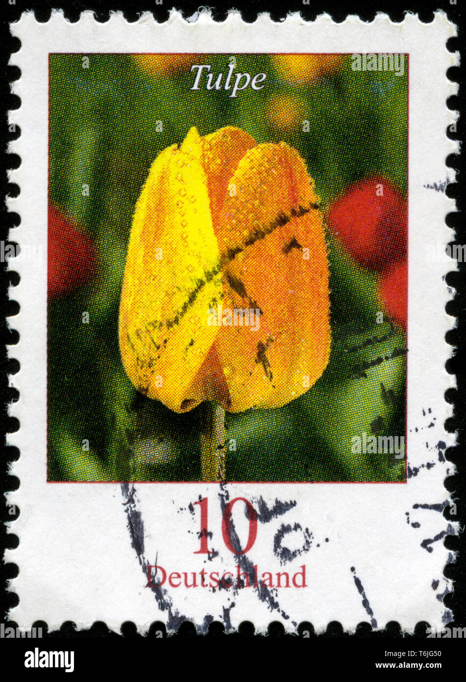 Timbre-poste de la République fédérale d'Allemagne dans les fleurs série émise en 2005 Banque D'Images
