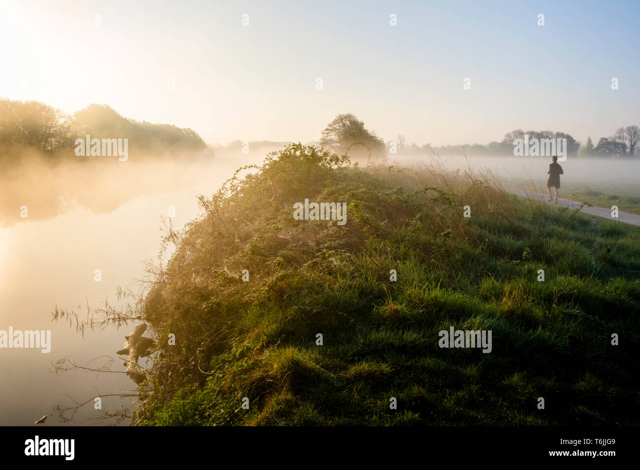 Brume matinale sur la rivière Trent et la campagne environnante avec un homme court, Lancashire, England, UK Banque D'Images