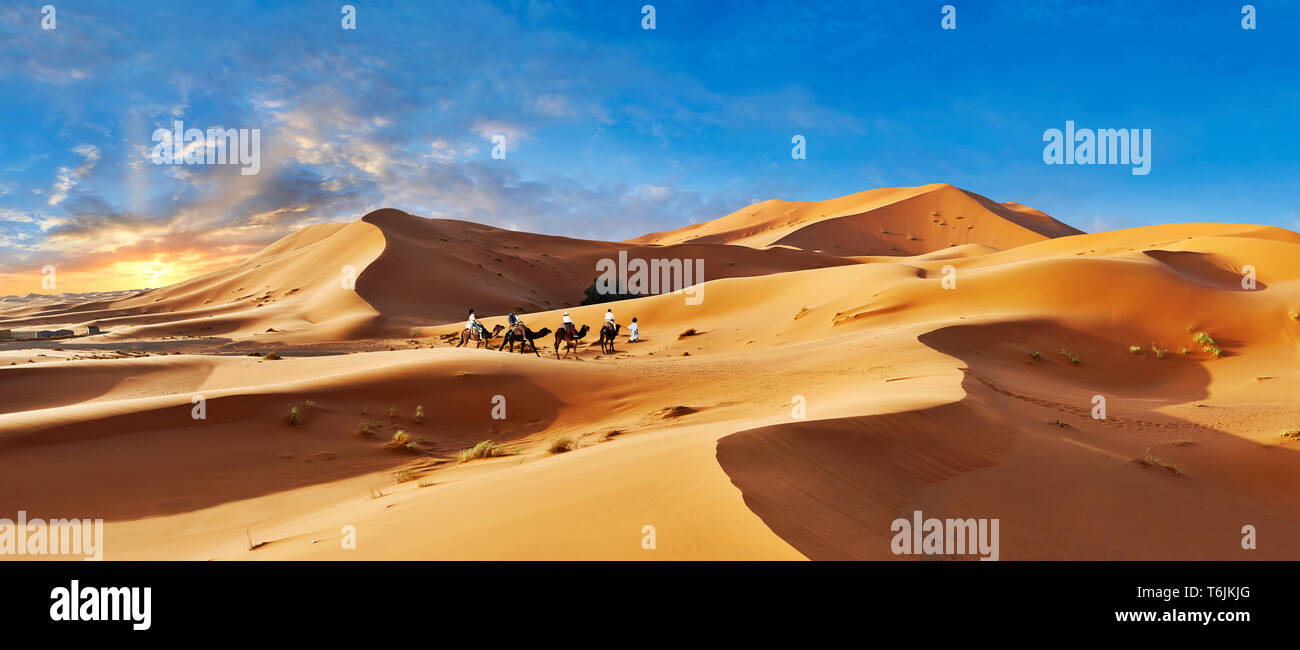 Des promenades en chameaux parmi les dunes de sable du Sahara de l'erg Chebbi, Maroc, Afrique Banque D'Images