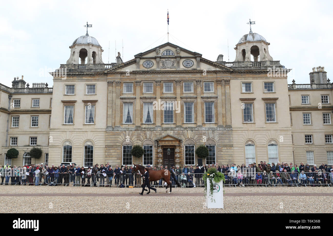 Une vue générale de l'Inspection des chevaux au cours de la première journée de la 2019 Mitsubishi Motors Badminton Horse Trials au Badminton Estate, Gloucestershire. Banque D'Images