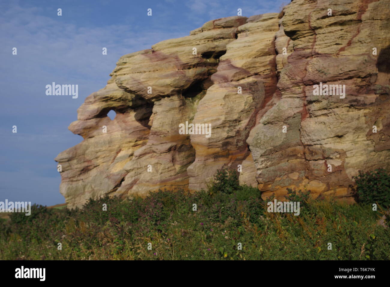 Caiplie Grottes, soulevées plage mer falaise de grès carbonifères colorés Géologie touchés par Lisengang les bandes et les grottes. D'Anstruther, Fife, au Royaume-Uni. Banque D'Images