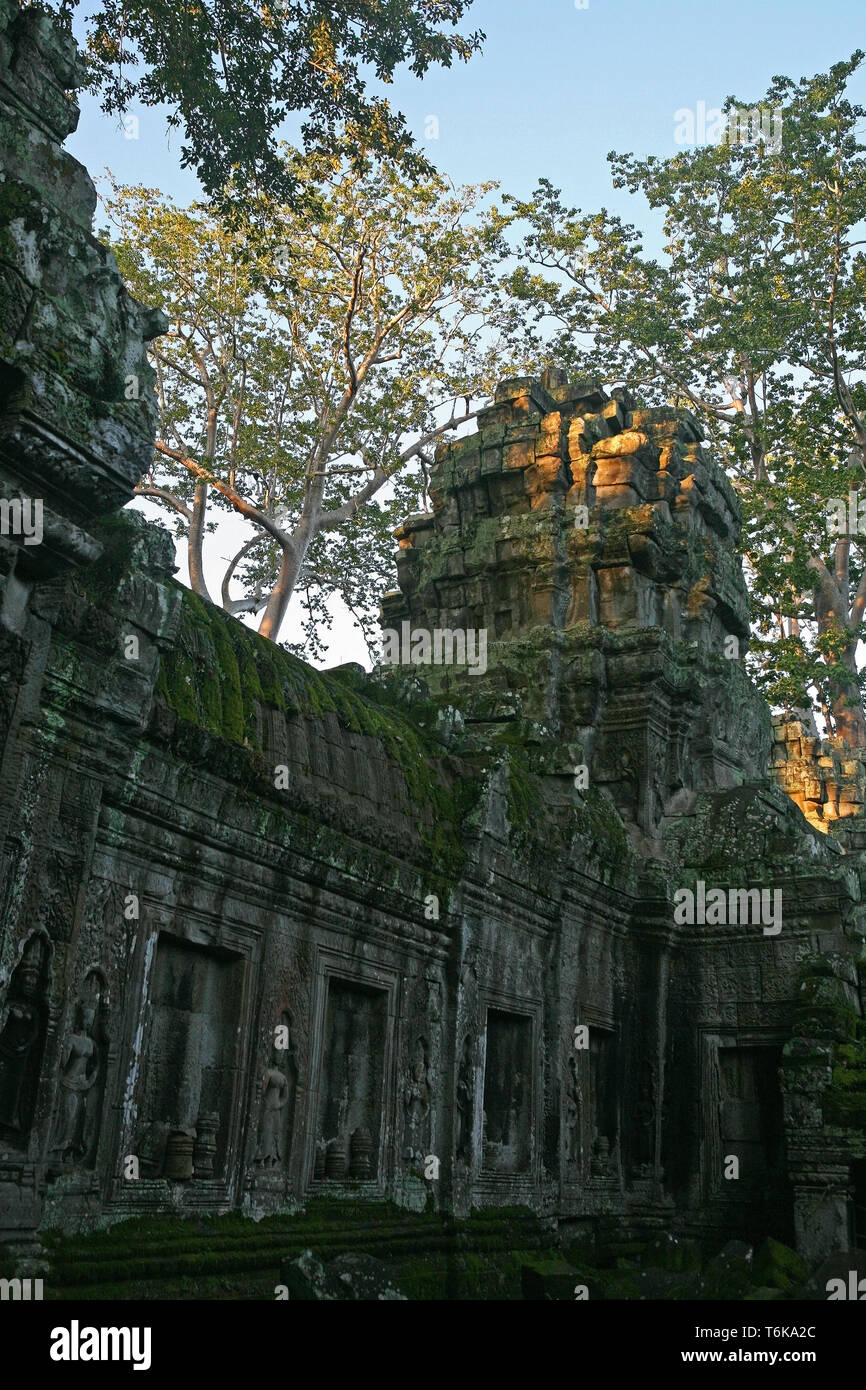 Tour sur le coin de la troisième enceinte, Ta Prohm, Angkor, Siem Reap, Cambodge Banque D'Images