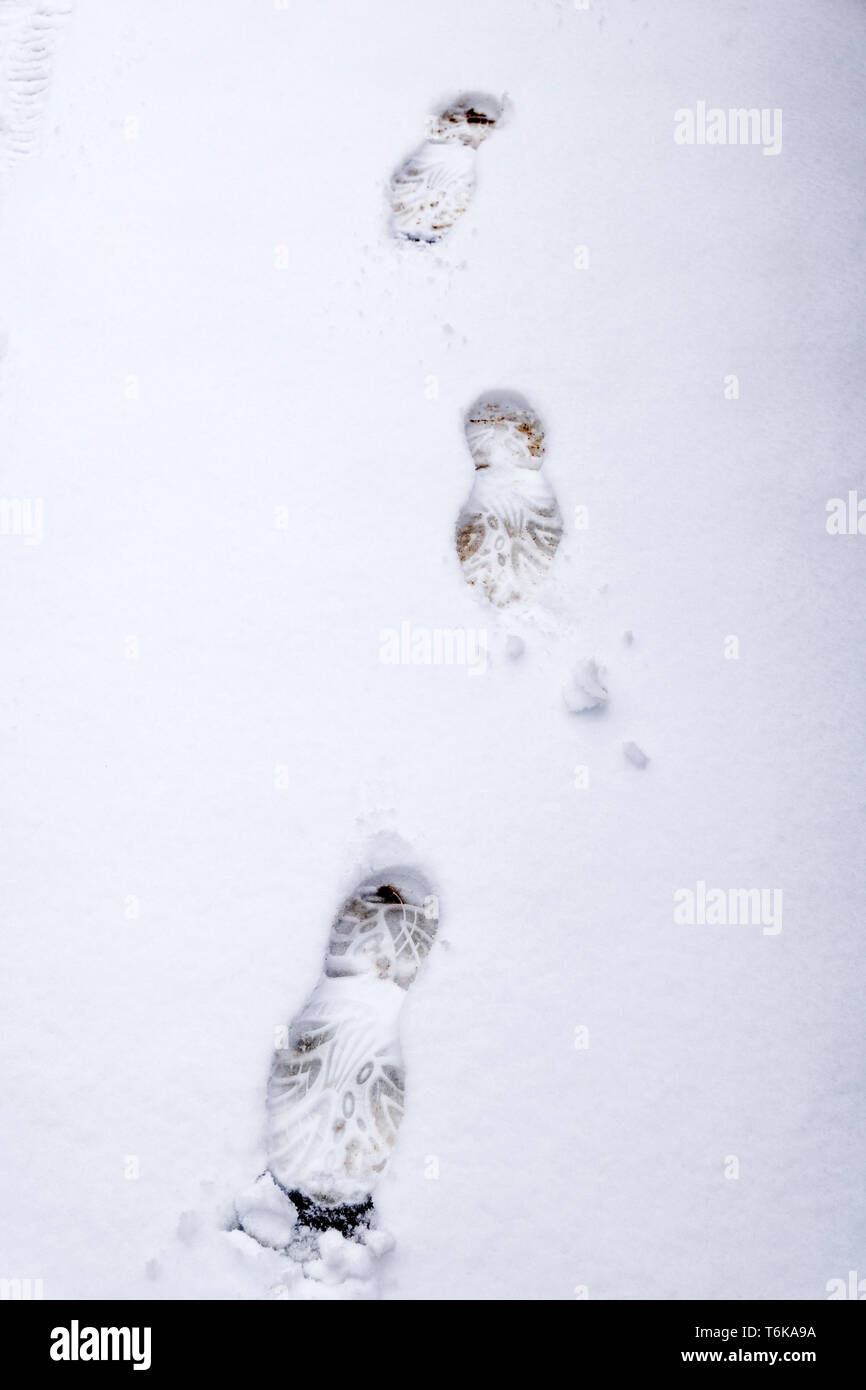 Des empreintes de pas dans la neige fraîche d'amorçage Banque D'Images