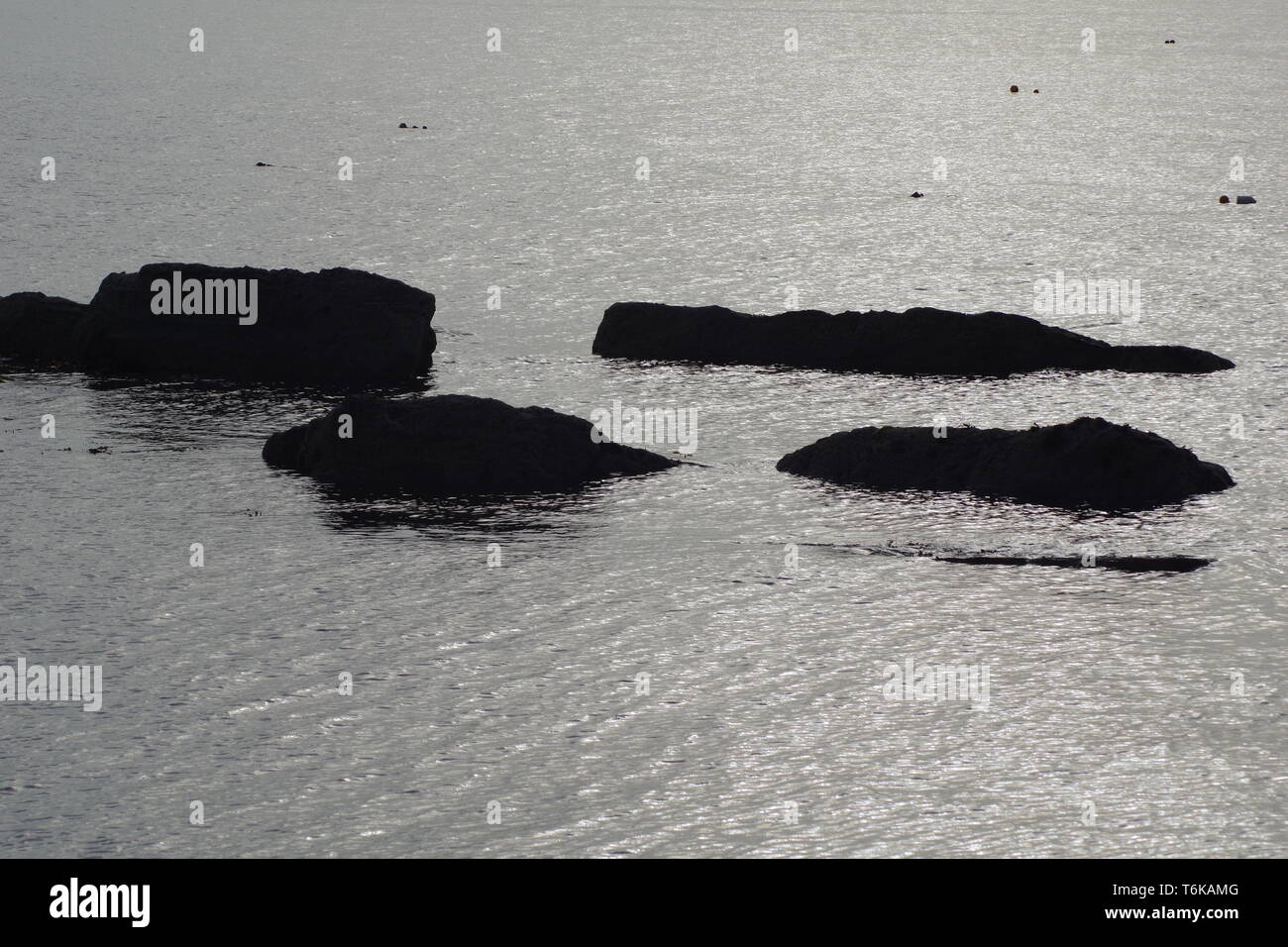 Fond naturel de quatre blocs qui se profile à l'aube dans un quartier calme de la mer argentée. Firth of Forth, Crail, Fife, Scotland, UK. Banque D'Images