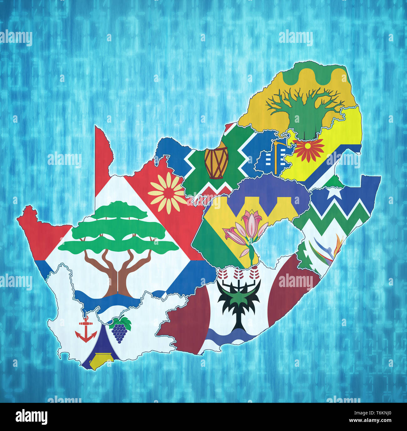 Les emblèmes des régions sur la carte avec les divisions administratives et les frontières de l'Afrique du Sud Banque D'Images