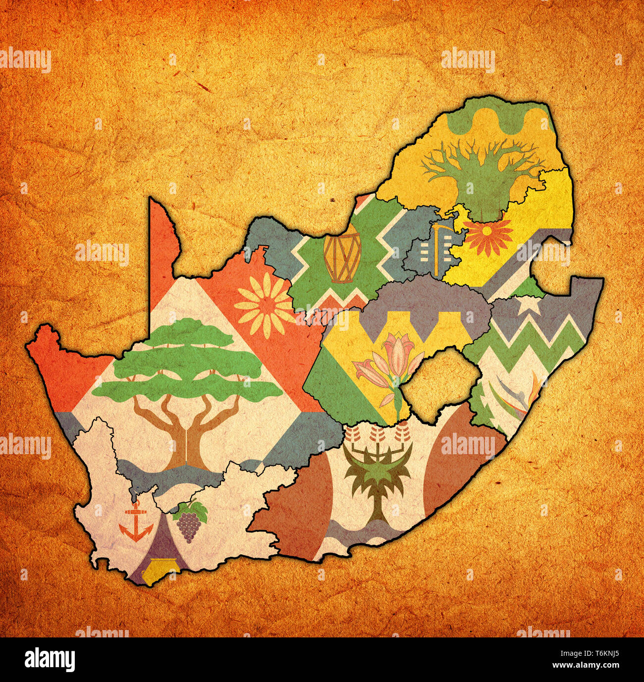 Les emblèmes des régions sur la carte avec les divisions administratives et les frontières de l'Afrique du Sud Banque D'Images