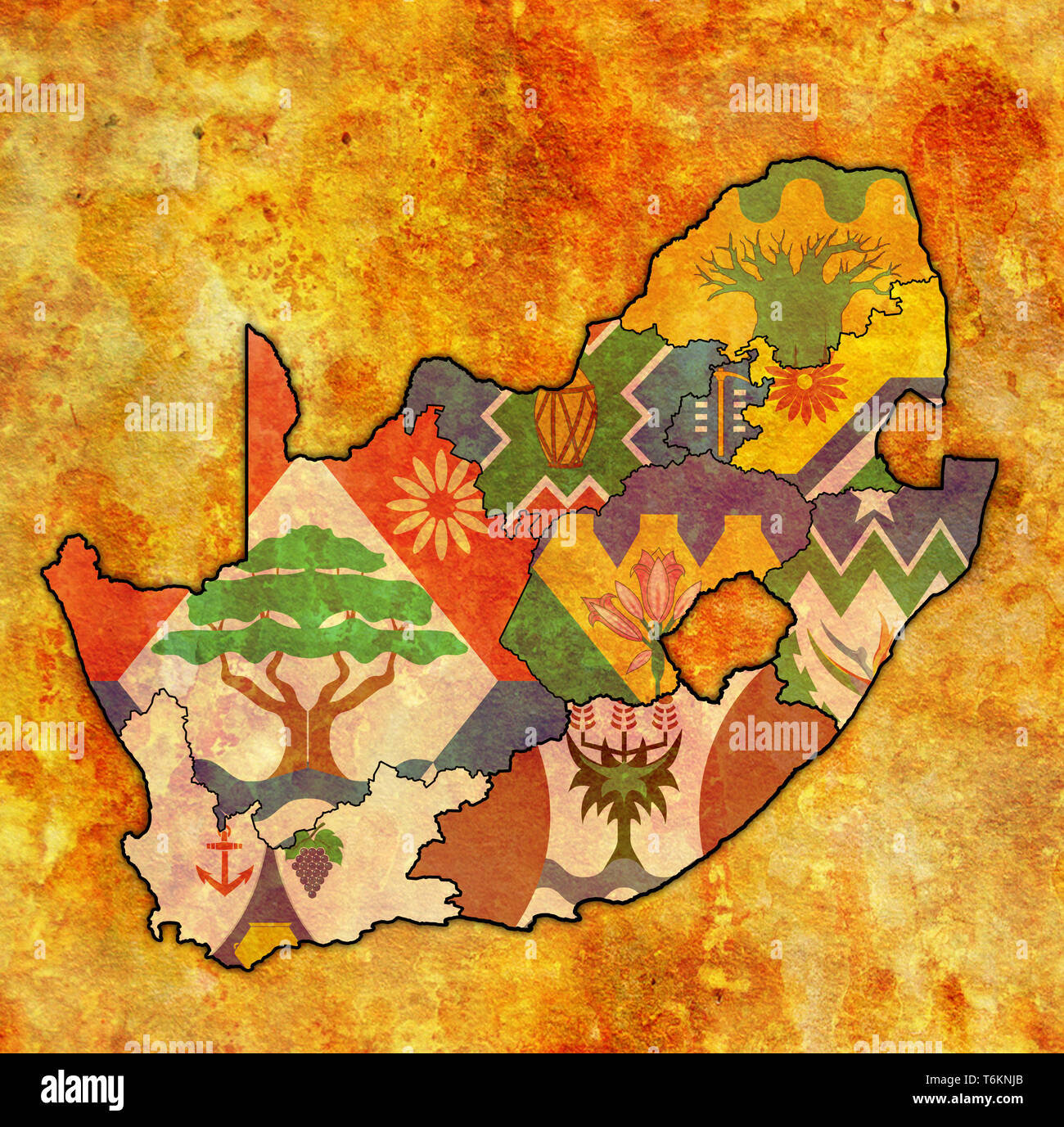 Les emblèmes des régions sur la carte avec les divisions administratives et les frontières de l'Afrique du Sud Banque D'Images