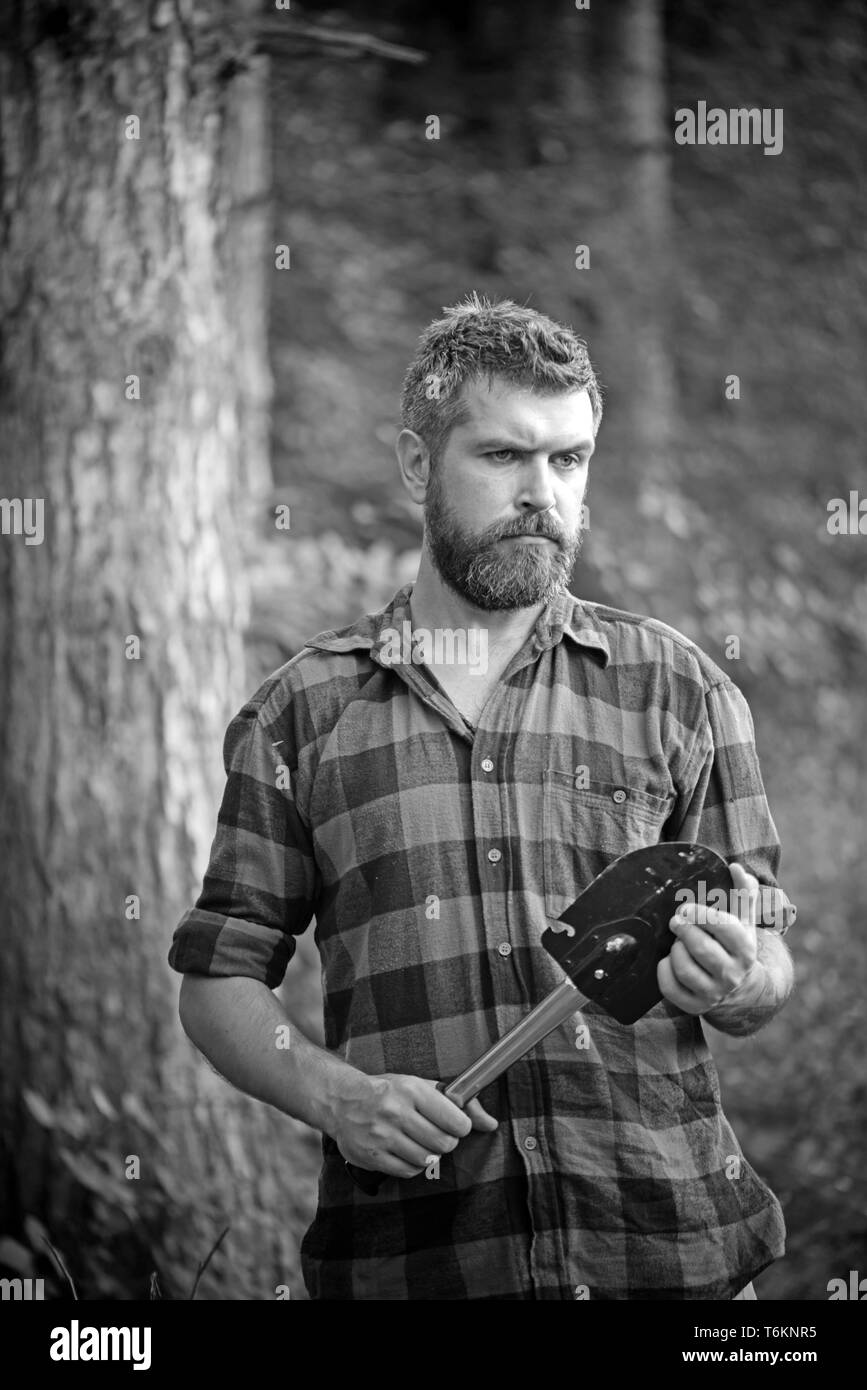 Bûcheron brutal avec peu de chat errant dans désert. Avec écologiste barbe élégant explorer les bois. Jeune scientifique travaillant dans la nature Banque D'Images