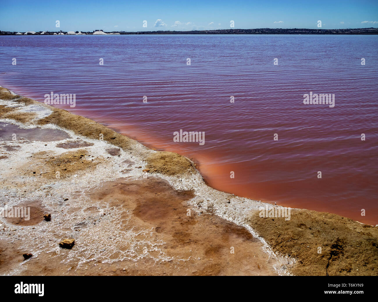 Laguna Salada à Torrevieja, Espagne. Lac salé rose. Salinas Parc Naturel. Banque D'Images
